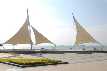 福建本轮累计报告本土确诊335例（福建累计报告本土确诊病例335例）