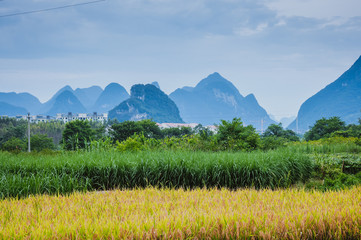 全国共有60个中风险地区（全国共有多少个中风险地区）